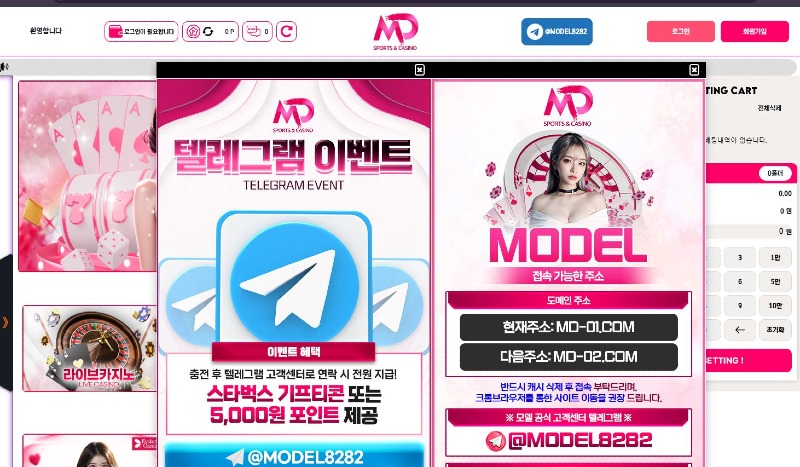 모델.JPG