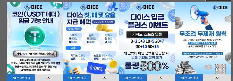 다이스.JPG